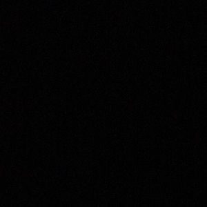 Meet your Posher, Lee